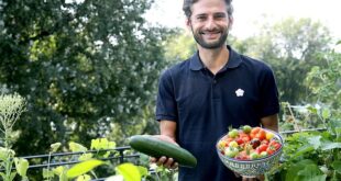 Cosecha deliciosa: Patrick Vernuccio, también conocido como El jardinero francés